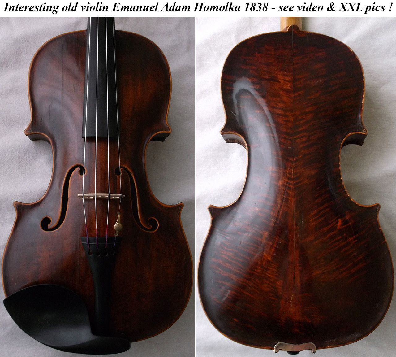 homolka violin