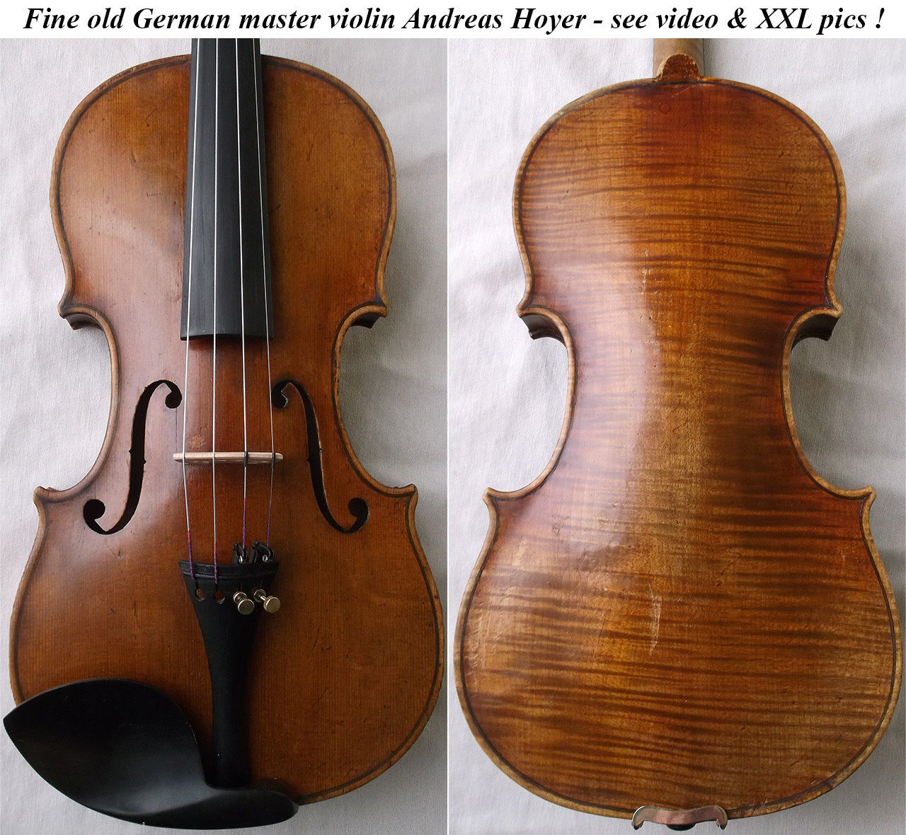 andreas hoyer violin