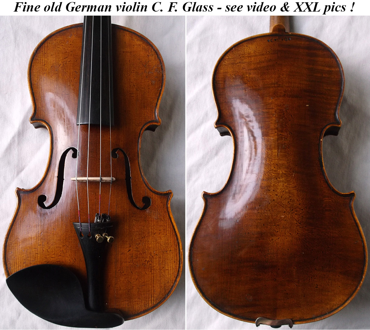c f glass violin