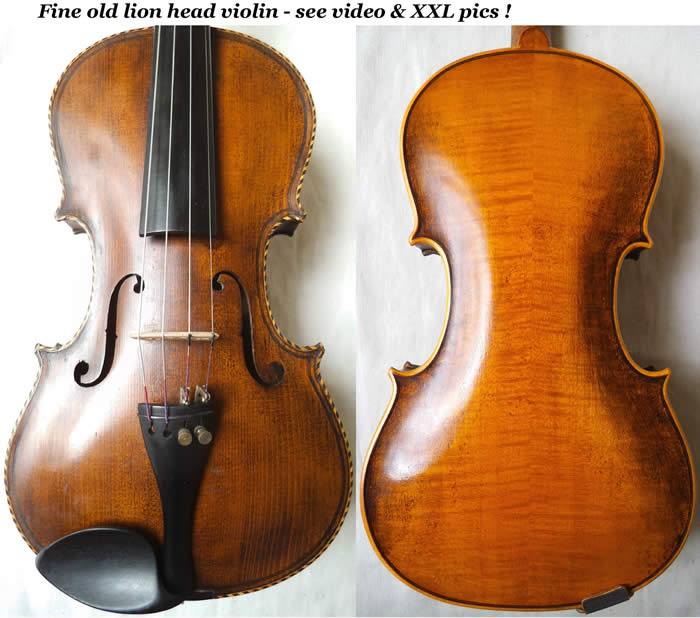 lionhead violin
