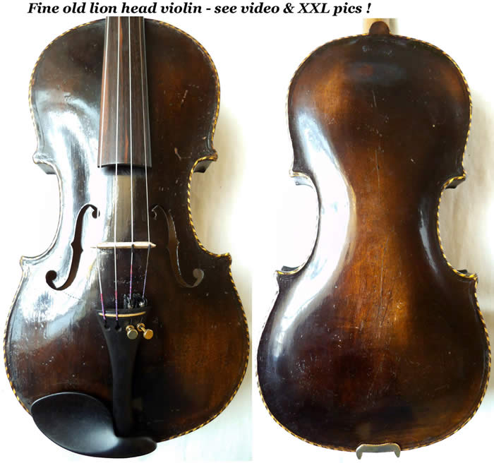lionhead violin