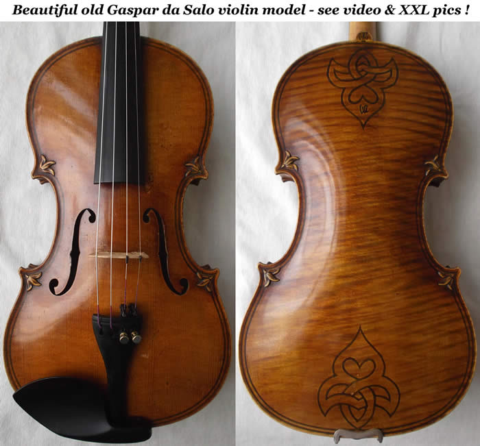 gaspar da salo violin